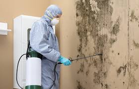 Best Forensic Mold Investigation in Beverly, NJ